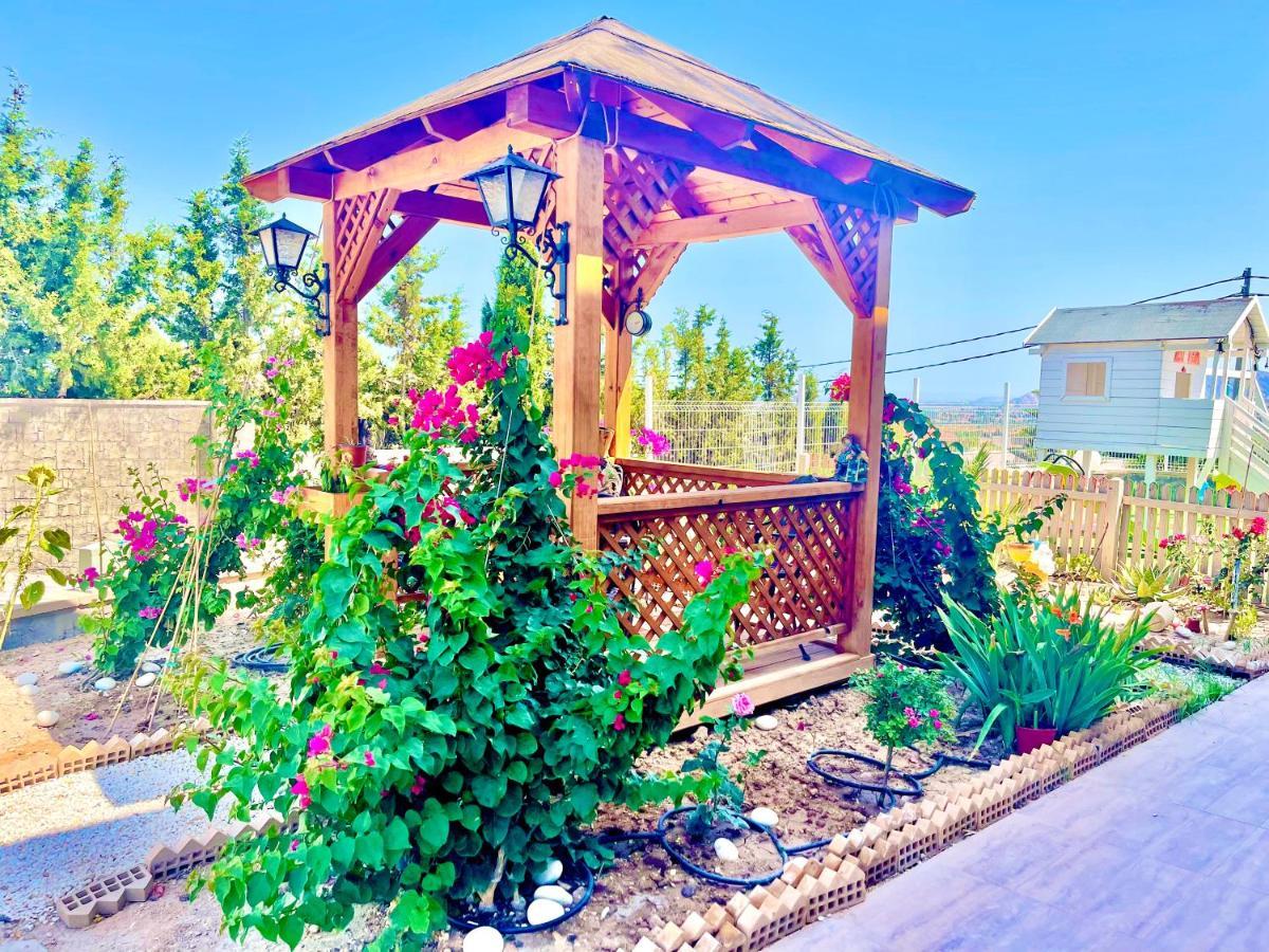 הוילה San Vicente Raspeig Montainbeach מראה חיצוני תמונה